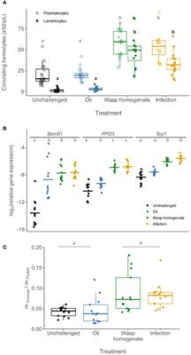 Activation of immune defences against parasitoid wasps does not underlie the cost of infection